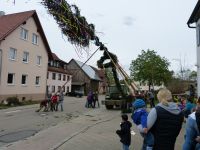 2015-04-30 TTC Maibaum stellen 025 (P1090085)